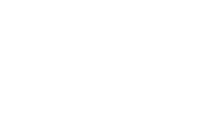 Made in Austria